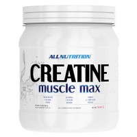 Creatine Muscle Max (500г)