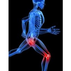 Бережем суставы Бережем суставы